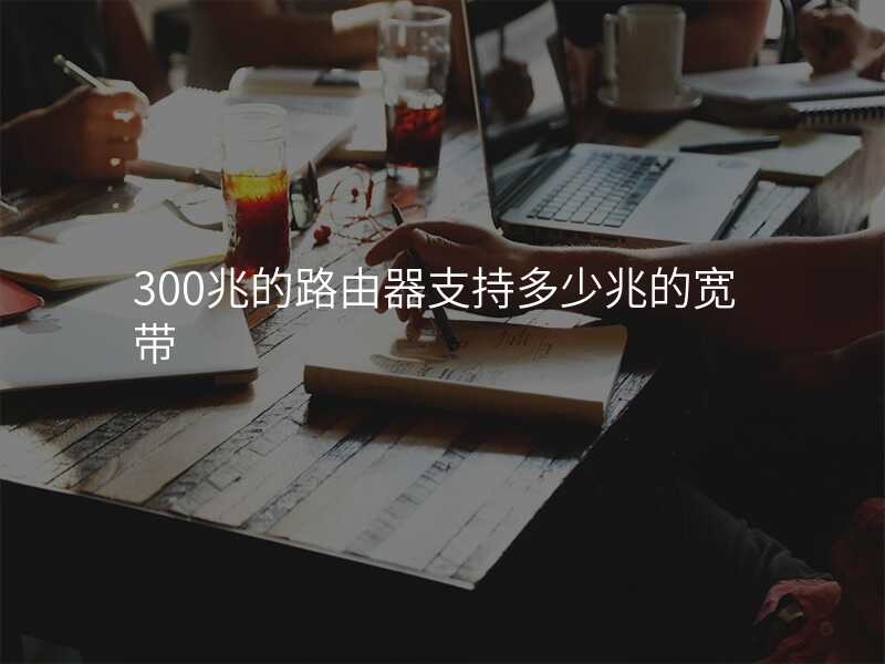 来自文章300兆的路由器支持多少兆的宽带的图片配图介绍