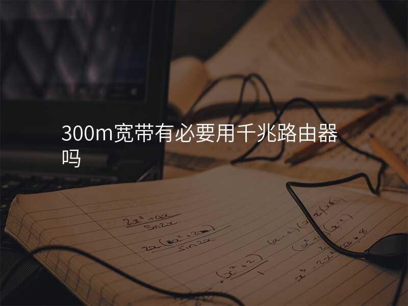 来自文章300m宽带有必要用千兆路由器吗的图片配图介绍